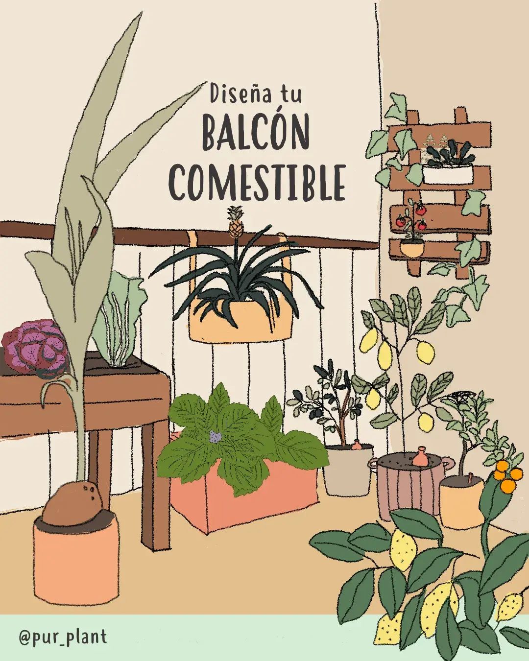 balconcomestible balconcomestible