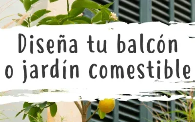 Diseña tu propio balcón comestible