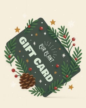 gift card navidad