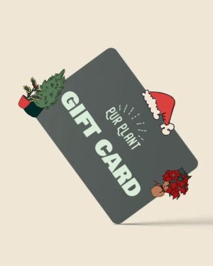 gift card pur plant navidad