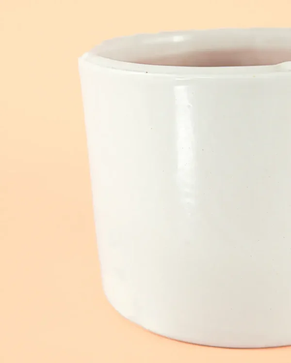 maceta-blanca-l-detalle