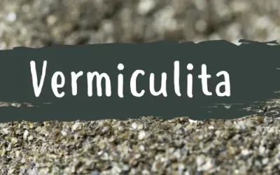 Qué es y para qué sirve la Vermiculita