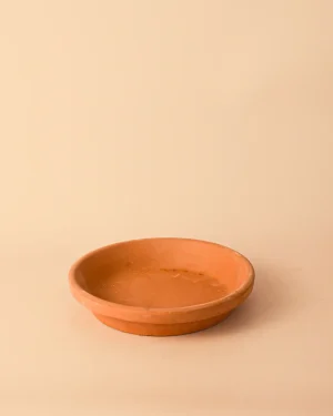 platoparamacetas-terracota-18