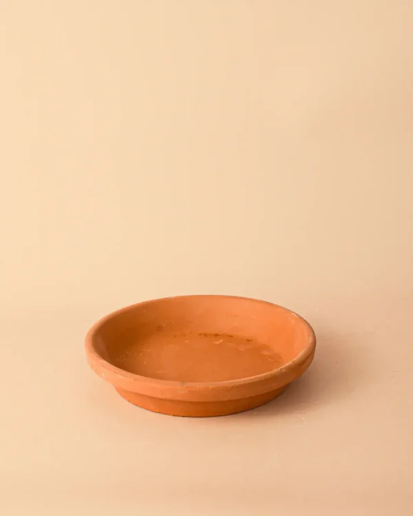 platoparamacetas-terracota-18