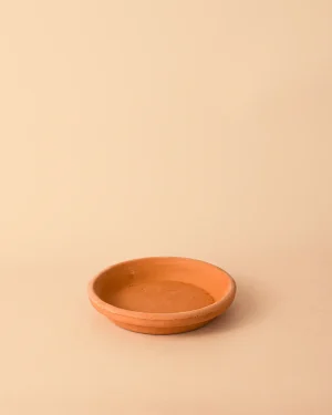 platoparamaceta-terracota-14