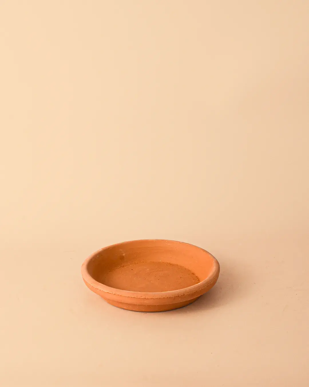 platoparamaceta-terracota-14