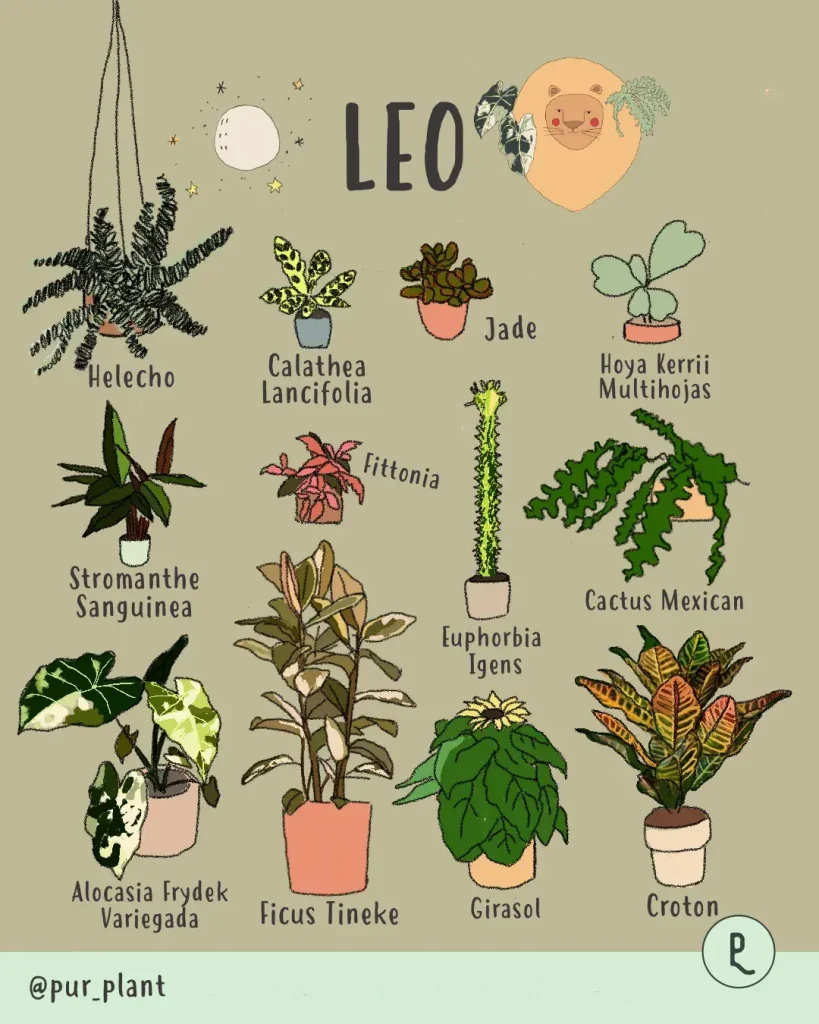plantas segun tu horoscopo leo