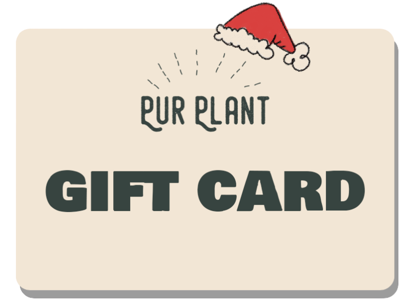 gift card navidad footer xmas