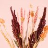 namur-flores-detalle