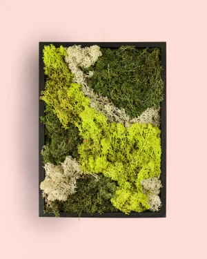 jardin-vertical-cuadrado