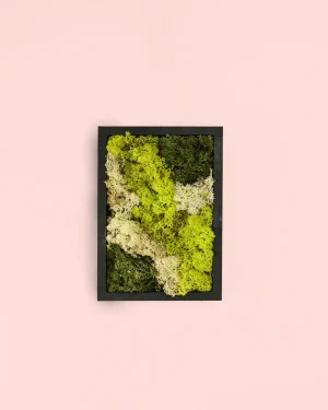 jardin vertical mini