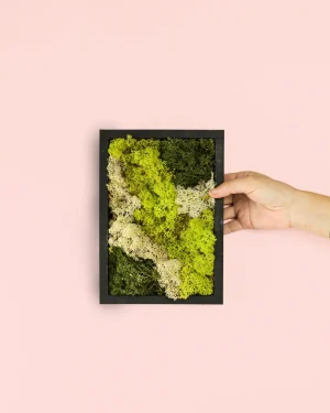 jardin vertical mini cuadro
