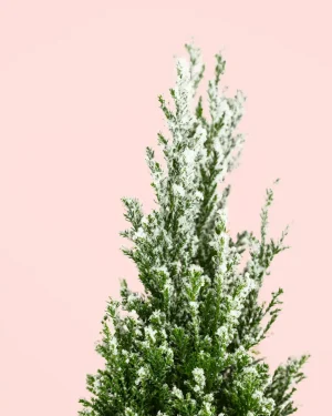 arbol-navidad-nieve