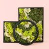jardin-vertical-conjunto