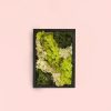 jardin-vertical-mini