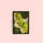 jardin-vertical-mini