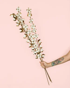 flores algodon