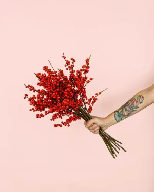 acebo rojo navidad
