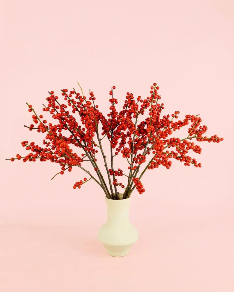 acebo-rojo