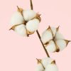 ramo-scandi-algodon-flor