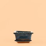 maceta-bonsai-azul