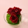 Cupido-Rosas Preservadas-Mini-Bol-rosas