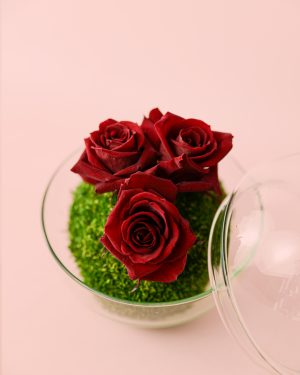 Cupido-Rosas Preservadas-Mini-Bol-rosas