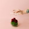 Cupido-Rosas Preservadas-Mini-Bol2jpg