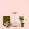 antique-terrario-22-plantas