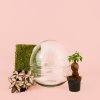 domo-terrario-bol-20x20-plantas