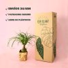 envios pata de elefante packaging
