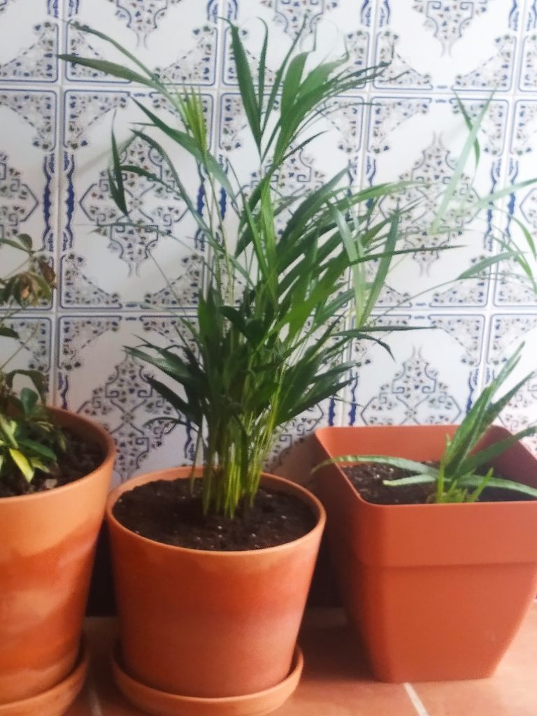 Imagen #1 de Laura C.