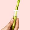 Lucky-bamboo-detalle