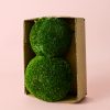 musgo-bola-caja
