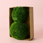 musgo-bola-caja