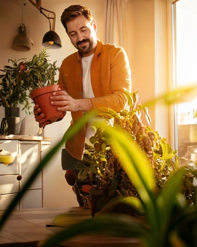 papa con plantas