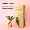 cyca-revoluta-packaging
