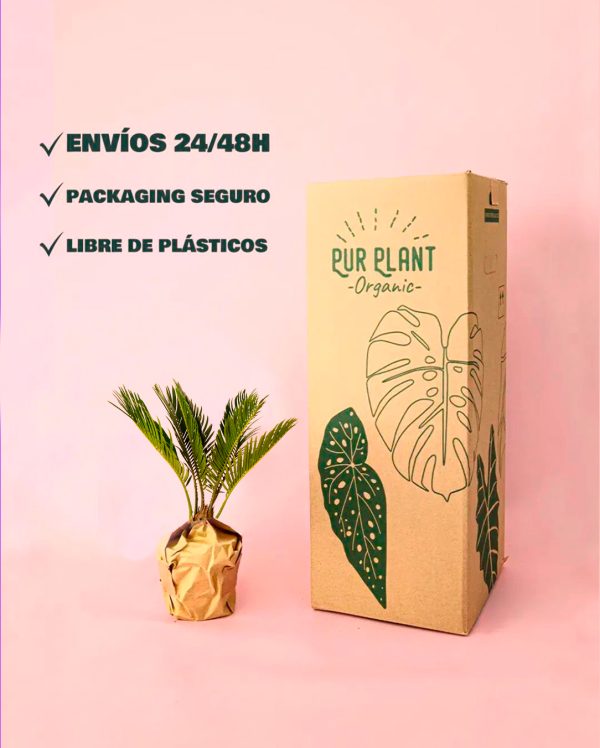 cyca-revoluta-packaging