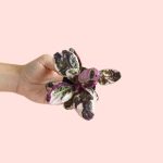 Hemigraphis Snow White Mini