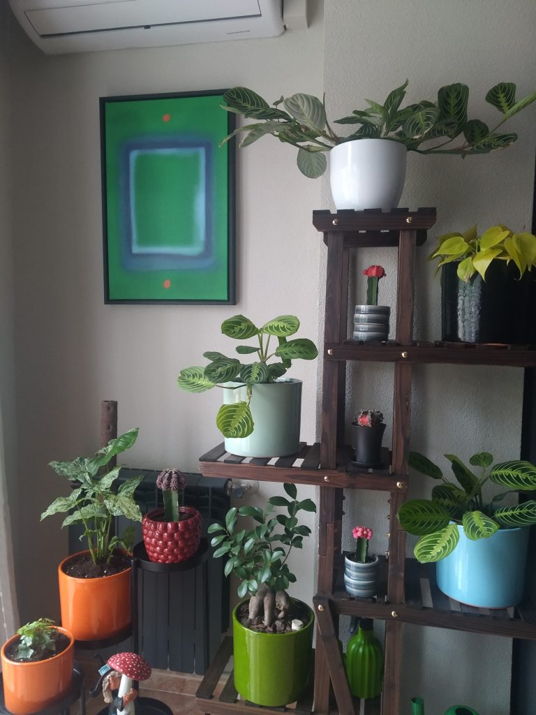 Imagen #1 de Laura C.