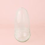 capsula-terrario-bol