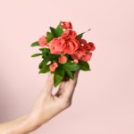 euphorbia-millii-dark-pink