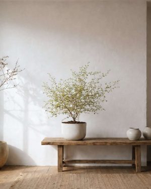 Sophora-Prostata-context