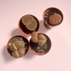lithops rubra plantas