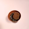 lithops rubra redondo (2)