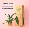 envio-seguro-helecho-reno