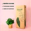 café-packaging