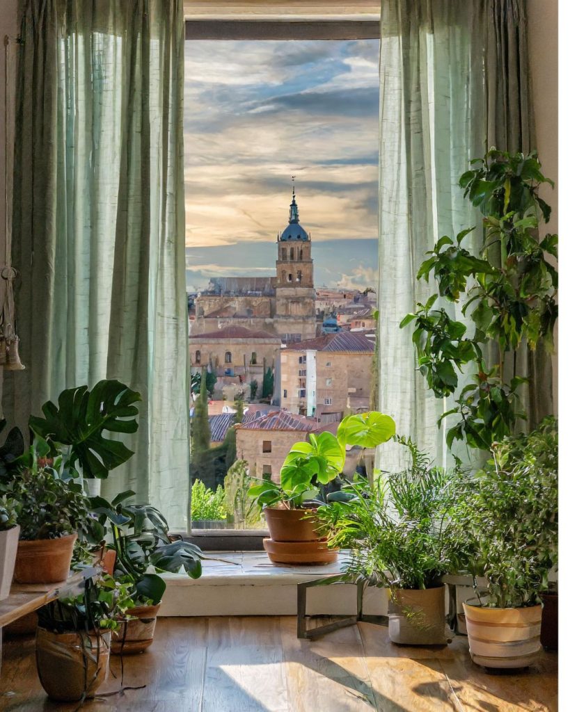 plantas salamanca