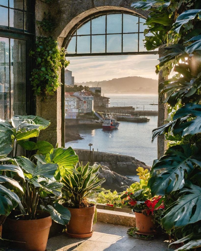 plantas vigo