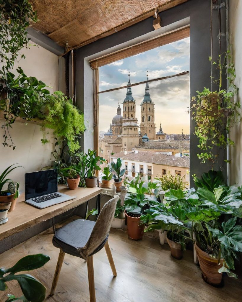 plantas zaragoza
